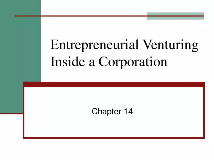 entrepreneurial venturing inside a corporation