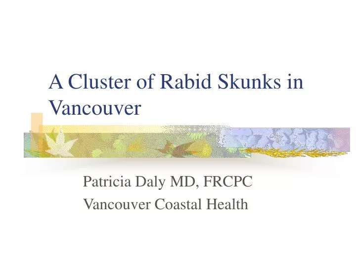 a cluster of rabid skunks in vancouver