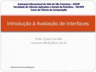 introdu o avalia o de interfaces