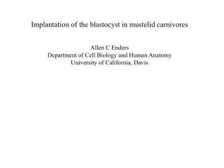 Implantation of the blastocyst in mustelid carnivores Allen C Enders
