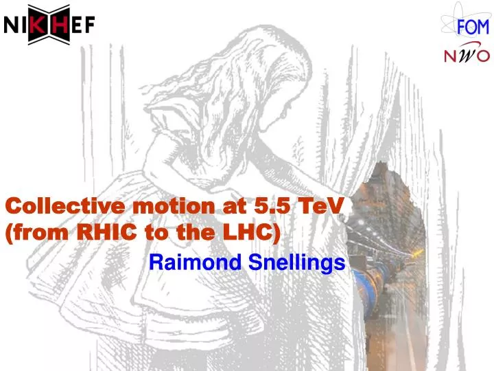 collective motion at 5 5 tev from rhic to the lhc