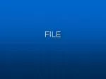FILE - slide 1