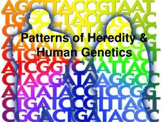 Patterns of Heredity &amp; Human Genetics