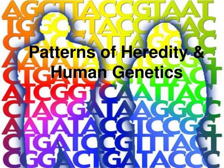 patterns of heredity human genetics