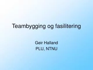teambygging og fasilitering