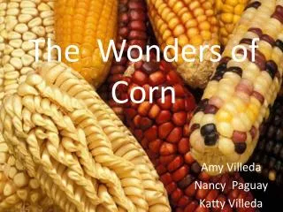 The Wonders of Corn