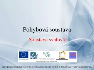 pohybov soustava