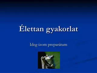 lettan gyakorlat
