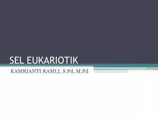 sel eukariotik