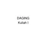 DAGING Kuliah I - slide 1