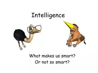 Intelligence