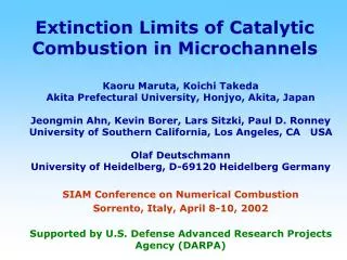 Extinction Limits of Catalytic Combustion in Microchannels