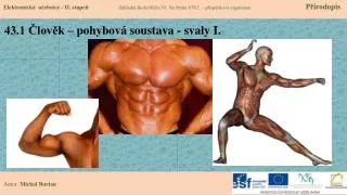 43 1 lov k pohybov soustava svaly i