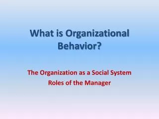 What is Organizational Behavior?