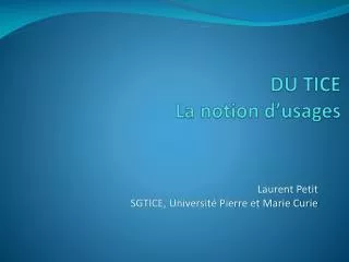 du tice la notion d usages