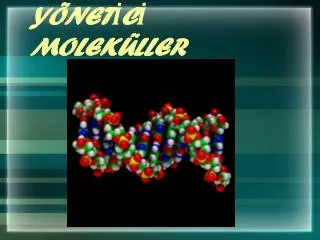 y net c molek ller