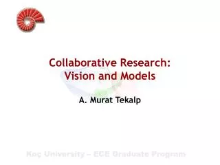 Collaborative Research: Vision and Models