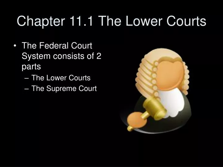 chapter 11 1 the lower courts