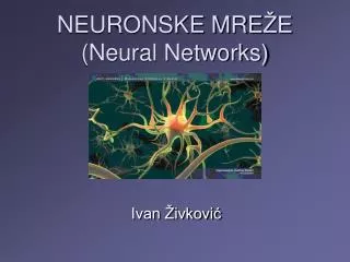 NEURONSKE MRE ŽE (Neural Networks)