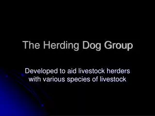 The Herding Dog Group