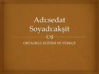 ad sedat soyad ak it