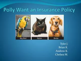 Polly Want an Insurance Policy