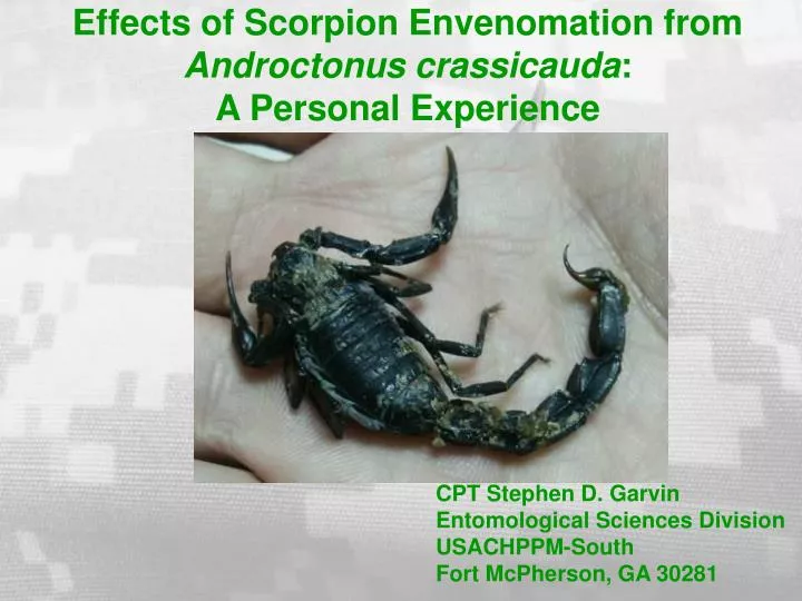 effects of scorpion envenomation from androctonus crassicauda a personal experience
