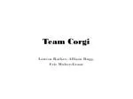 Team Corgi - slide 1