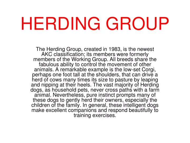 herding group