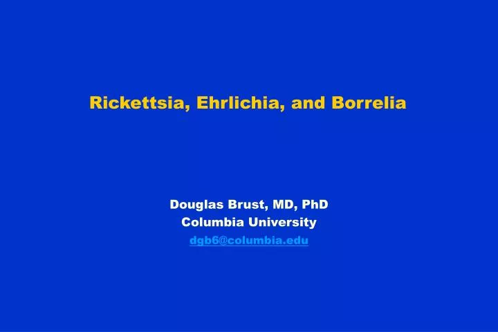 rickettsia ehrlichia and borrelia