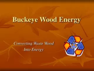 Buckeye Wood Energy