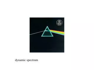 dynamic spectrum
