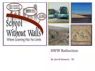 SWW Reflection