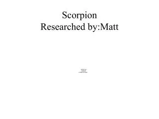 Scorpion Researched by:Matt