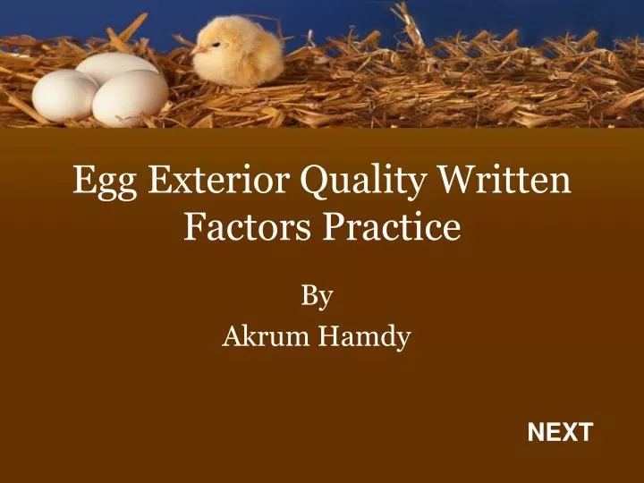egg exterior quality written factors practice