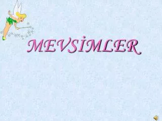 mevs mler