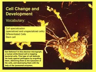 Cell Change and Development