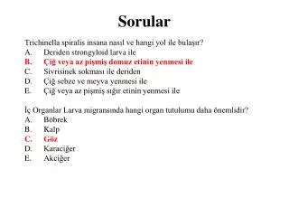 sorular