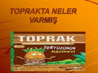 toprakta neler varmi