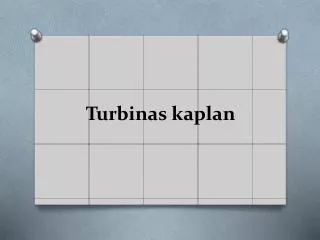 turbinas kaplan
