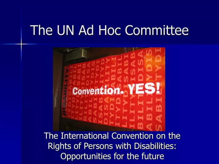 the un ad hoc committee