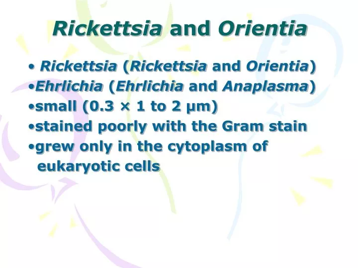 rickettsia and orientia