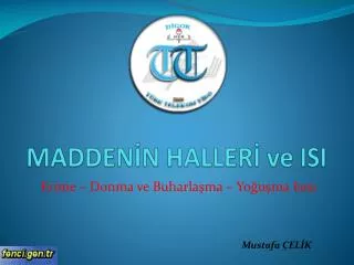madden n haller ve isi