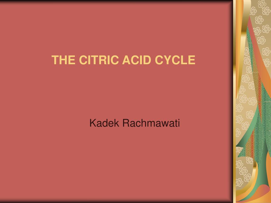 PPT - THE CITRIC ACID CYCLE PowerPoint Presentation, free download - ID ...