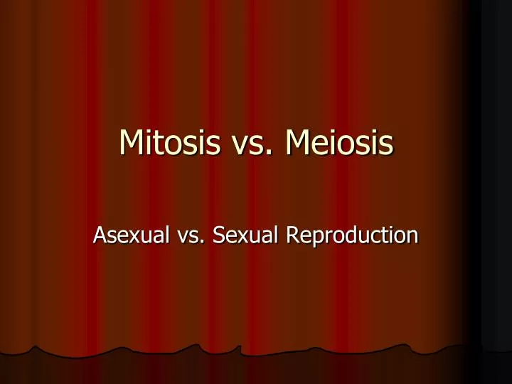 mitosis vs meiosis