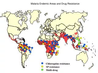 Malaria Endemic Areas and Drug Resistance