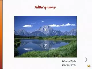 adbu q nzwry