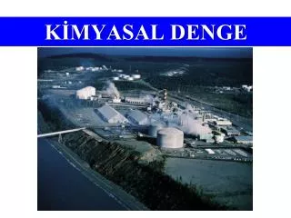 k myasal denge
