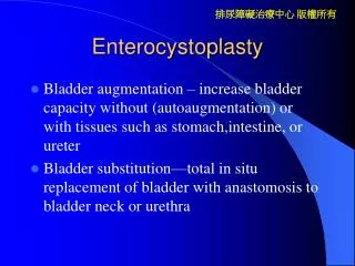 Enterocystoplasty