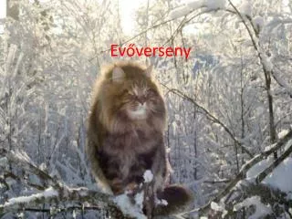 ev verseny